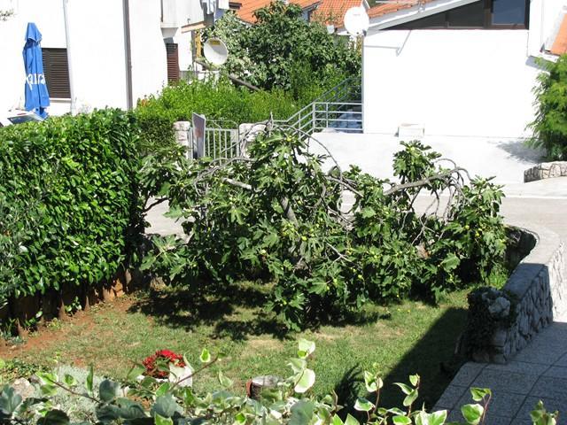 Apartman "Ela" Njivice Εξωτερικό φωτογραφία
