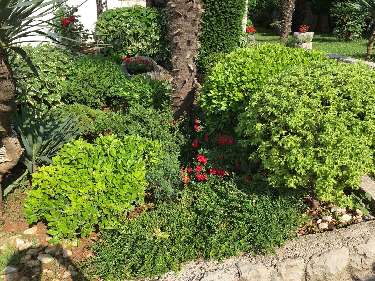 Apartman "Ela" Njivice Εξωτερικό φωτογραφία
