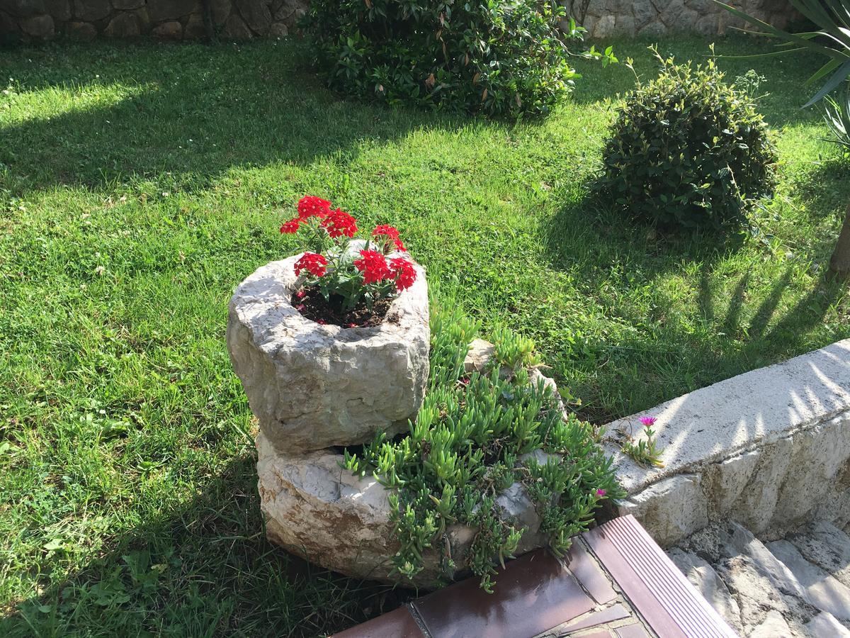 Apartman "Ela" Njivice Εξωτερικό φωτογραφία